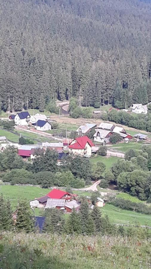 Pensiunea Argela المظهر الخارجي الصورة