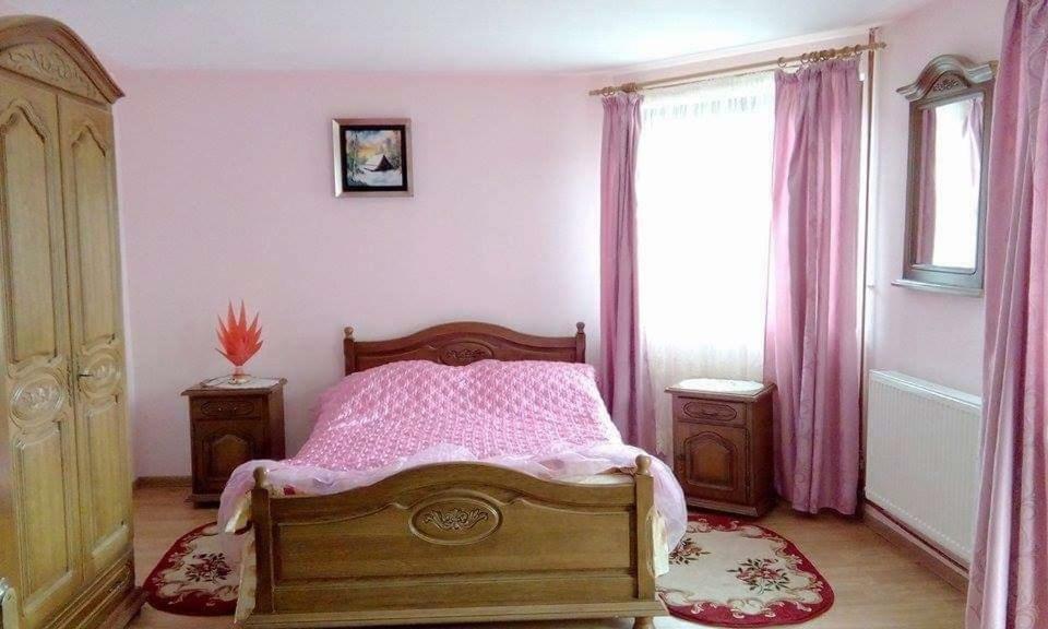 Pensiunea Argela المظهر الخارجي الصورة