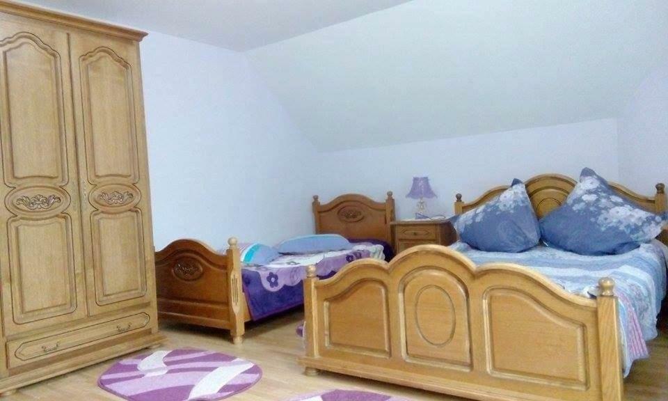 Pensiunea Argela المظهر الخارجي الصورة